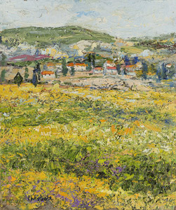 Oliviers en Provence