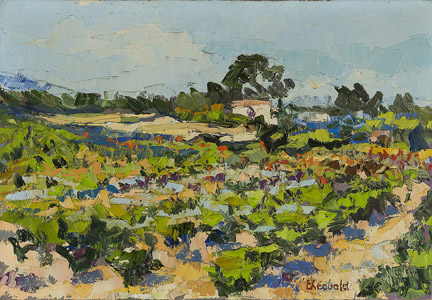 Vignoble en Provence